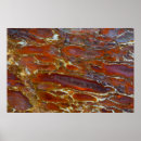 Suche nach versteinerte kunst Makro