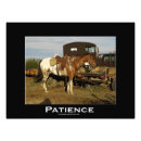 Suche nach sattel poster Hengst