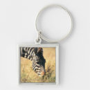 Suche nach der zebra der burchells Wild lebende tiere