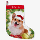 Suche nach corgi weihnachts strümpfe Strumpf
