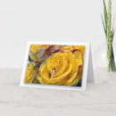 Suche nach gelber hintergrund karten Rose