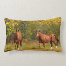 Suche nach kastanien kissen Pferde