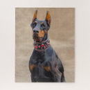 Suche nach pinscher puzzle Haustier