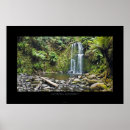 Suche nach rainforest poster Regenwald