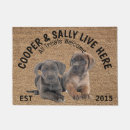 Suche nach cane corso haustier wohnen zuhause Haustiere