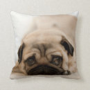 Suche nach baby mops kissen Welpe