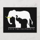 Suche nach weißer elefant postkarten Elefanten