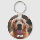 Suche nach haustiergeschenke accessoires Hunde