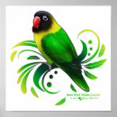 Suche nach lovebird poster Vögel