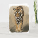 Suche nach tigress Wild