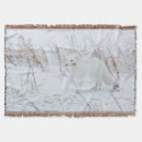 Suche nach arktisch decken Arktische fuchs