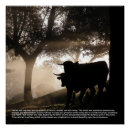 Suche nach rinder kuh poster Tiere