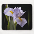 Suche nach lila iris mousepads Botanisch