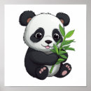 Suche nach panda cartoon poster Tragen