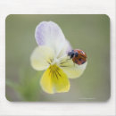 Suche nach marienkäfer mousepads Horizontal