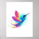 Suche nach exotic poster Kolibri