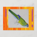 Suche nach parakeets postkarten Für alle