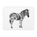 Suche nach zebra magnete Dschungel