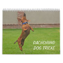 Suche nach dackel kalender Drahthaarterrier