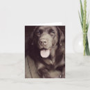 Suche nach schokolade labrador retriever karten Denken sie