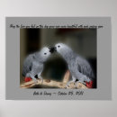 Suche nach niedlicher papagei poster Vogelvogel