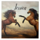 Suche nach reiten fliesen Dressur