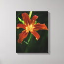 Suche nach garden leinwandbilder Orange