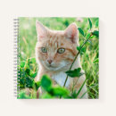 Suche nach eyes kleine notizbücher Natur