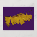 Suche nach ginkgo blatt postkarten Baum