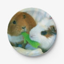 Suche nach lustige meerschweinchen basteln party Weihnachten