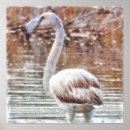 Suche nach exotic poster Tropisch