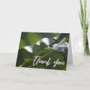 Suche nach banana karten Fotografie