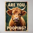 Suche nach highland cow poster Kuh