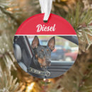 Suche nach dobermann pinscher ornamente Hunde