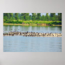 Suche nach donau poster Fluss