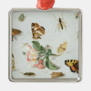 Suche nach motte ornamente 17