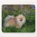 Suche nach pam mousepads Bluebells