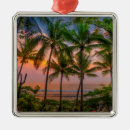 Suche nach costa rica ornamente Insel