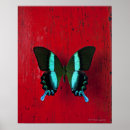 Suche nach schwarzer schmetterling poster Hübsch