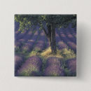 Suche nach provence buttons Muster