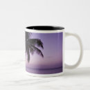 Suche nach coconut tasses Lila
