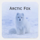 Suche nach arktis aufkleber Wildtiere