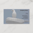 Suche nach seemöwe visitenkarten Möve