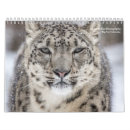 Suche nach leoparden kalender Löwen