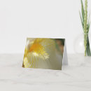 Suche nach schwertlilie postkarten Natur