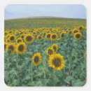 Suche nach provence aufkleber Blume