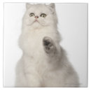 Suche nach sitz fliesen Natur