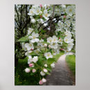 Suche nach weißer büffel poster Baum
