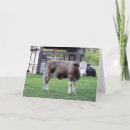 Suche nach landleben karten Ranch