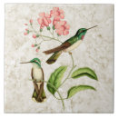 Suche nach kolibris fliesen Botanisch